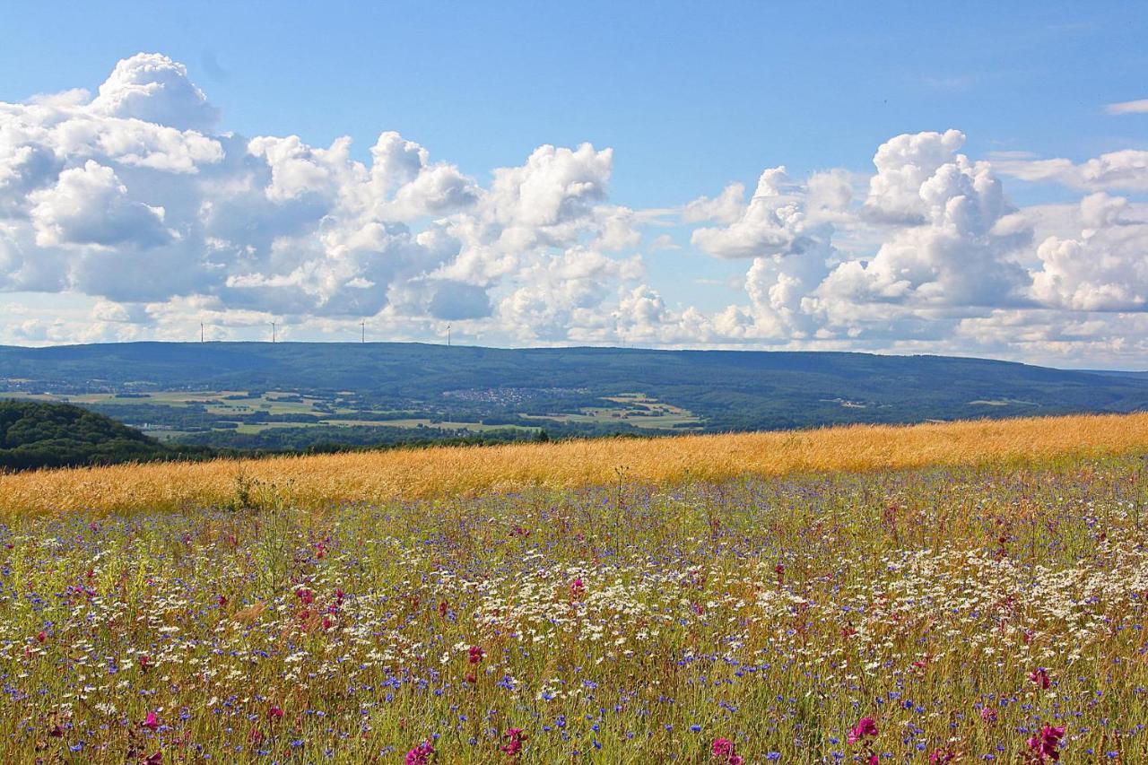 Ferienwohnungen In Losheim Am See Buitenkant foto